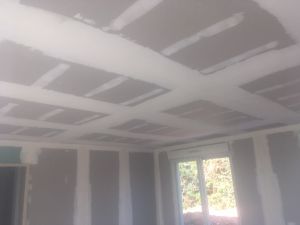 b-f-isolation--5fa1b89fec33e