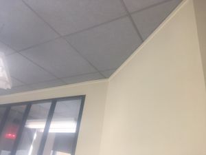 b-f-isolation--5fa1b8a09bd17