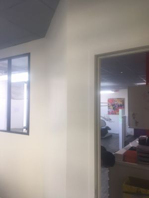 b-f-isolation--5fa1b8a41d48e