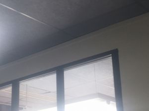 b-f-isolation--5fa1b8a4afd8b