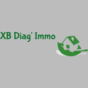XB Diag’Immo