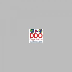 DDO Organisation logo