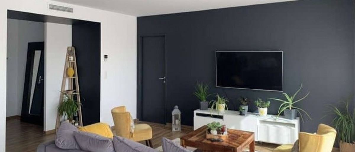 Tarn peinture