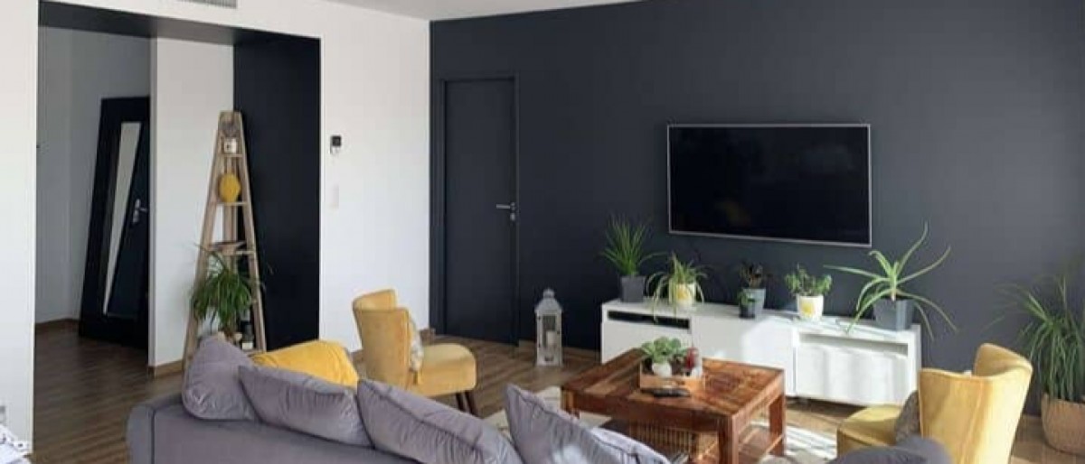 Tarn peinture