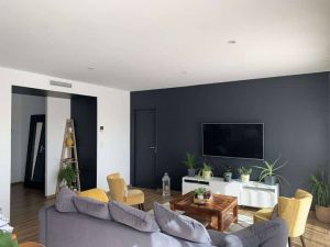 tarn-peinture-688a97103e4c8