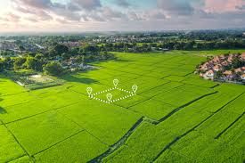 albi-geometre-expert-agex-sarl-bureau-de-permanence-a-gaillac-688b547f1f8c8