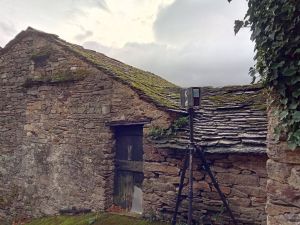 selarl-geom-7-689229af7db3e