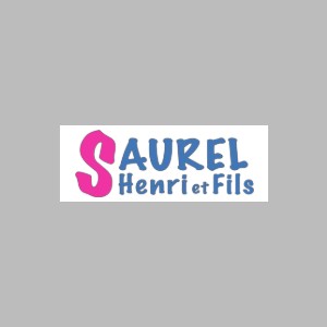Entreprise Peinture Saurel Henri et Fils logo