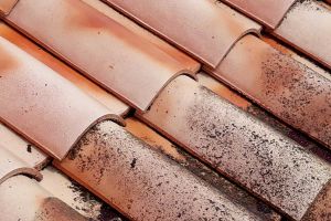 jeremy-bontemps-couvreur-zingueur--689bb0a95cbfb