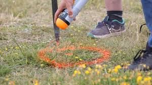 selarl-bbass-689bb6628d20a