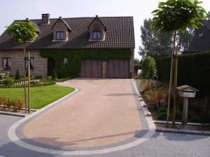 gofinet-t-p-689dfec46caba