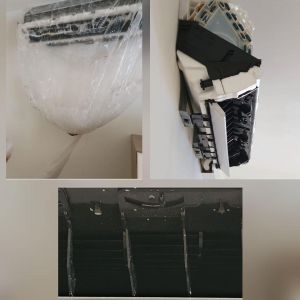 climloft-68bc5e18cb85e