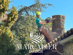 marcadier-paysage-68de8af009258