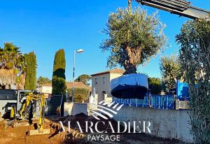 marcadier-paysage-68de8afa6a6a1