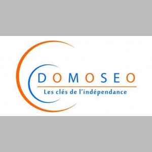 DOMOSEO logo