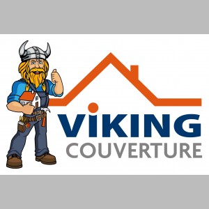 Viking Couverture